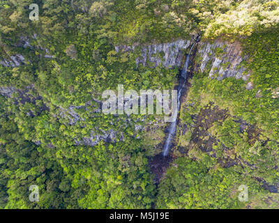 Maurizio, Black River Gorges National Park, veduta aerea della cascata Foto Stock