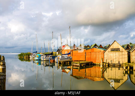 Germania, Meclemburgo-Pomerania, Ahrenshoop, Foto Stock