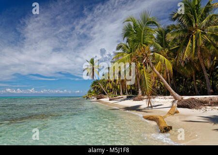 Caraibi, Repubblica dominicana, spiaggia dell'isola dei Caraibi Isla Saona Foto Stock
