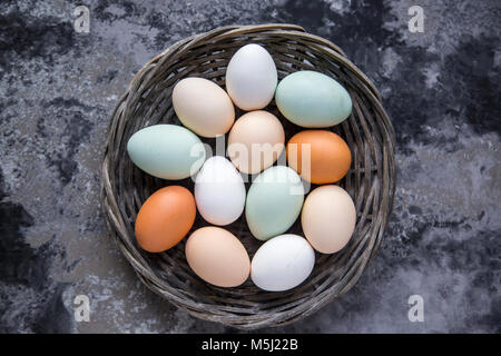 Differenti uova, bianco, marrone, marrone chiaro e verde uova Foto Stock