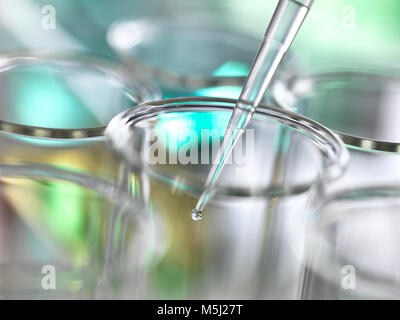 Campione di essere pipettato in tubi di prova nel corso di un esperimento di laboratorio Foto Stock