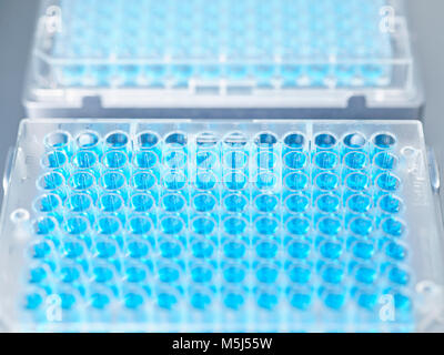 Attrezzature da laboratorio a laboratorio Foto Stock