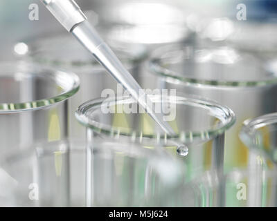 Campione di essere pipettato in tubi di prova nel corso di un esperimento di laboratorio Foto Stock