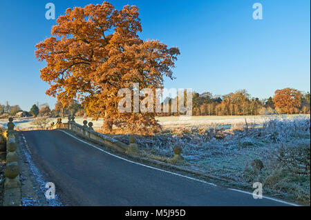 Autunno scena nel sud rurale Warwickshire con coperto di brina paesaggio, vicolo del paese e albero in colore di autunno contro un cielo blu. Foto Stock