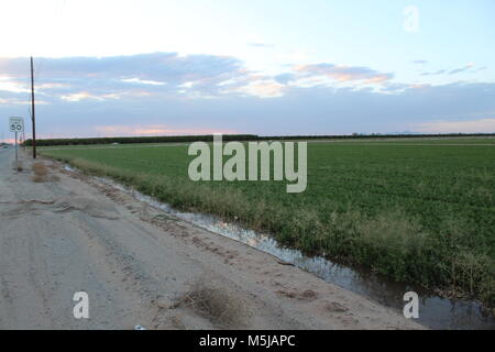 Il campo sul lato di una strada provinciale che è stato allagato con acqua con cielo di sera in background con segnale di limite di velocità in fotografia Foto Stock