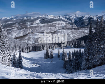 Gamma di Gore e black diamond pista da sci dalla sommità della Cima Express sollevare, inverno, Vail Ski Resort, Vail Colorado. Foto Stock