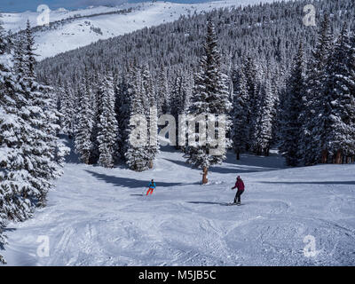 Big Rock Park Trail, winter, Blue Sky Basin, Vail Ski Resort, Vail, Colorado. Foto Stock