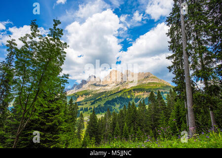 Vista sulle montagne del gruppo del Catinaccio (Rosengarten) con prati, abeti e fiori, sotto un azzurro cielo nuvoloso, Dolomiti, Italia Foto Stock