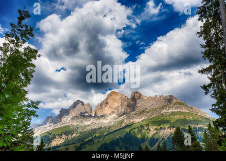 Vista sulle montagne del gruppo del Catinaccio (Rosengarten) con prati, abeti e fiori, sotto un azzurro cielo nuvoloso, Dolomiti, Italia Foto Stock