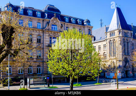 Giovani lime tree con molla fogliame, xix secolo edifici guglielmino, Neustadt, Strasburgo, Alsazia, Francia, Europa Foto Stock