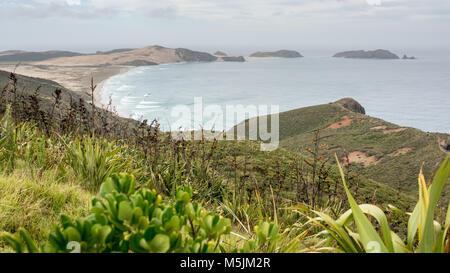 Cape Rienga ,la punta più settentrionale dell'Isola del nord, Nuova Zelanda Foto Stock