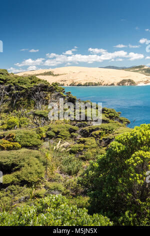 Arai-Te-Uru penisola, vicino Openoni, Isola del nord, Nuova Zelanda Foto Stock