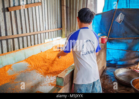 Trasformazione Tây Ninh gamberetti sale (muoi tom) di cucina vietnamita. Tay Ninh è famosa per il commercio all'ingrosso di gamberi sale in Vietnam Foto Stock