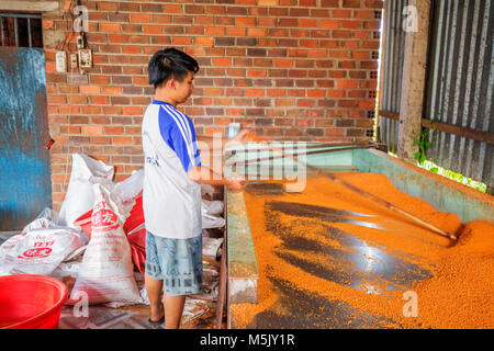 Trasformazione Tây Ninh gamberetti sale (muoi tom) di cucina vietnamita. Tay Ninh è famosa per il commercio all'ingrosso di gamberi sale in Vietnam Foto Stock