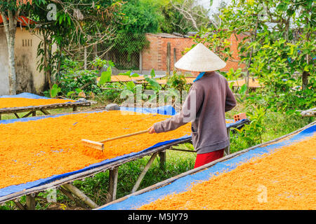 Trasformazione Tây Ninh gamberetti sale (muoi tom) di cucina vietnamita. Tay Ninh è famosa per il commercio all'ingrosso di gamberi sale in Vietnam Foto Stock