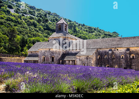 Abbazia di Senanque e righe in fiore fiori di lavanda. Gordes, Luberon, Vaucluse Provence, Francia. Foto Stock