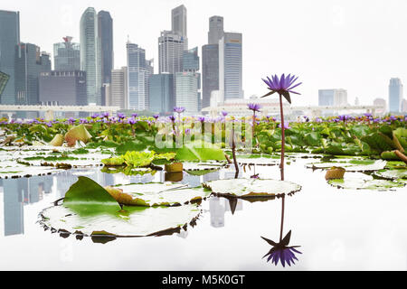 Lotus a ArtScience Museum, Marina Bay Waterfront, Singapore Foto Stock