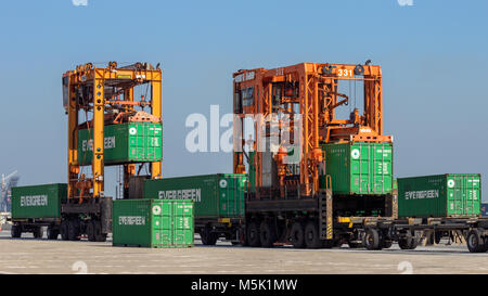 ROTTERDAM - Settembre 6, 2015: Straddle Carrier movimentazione container in ECT terminale marittimo nel porto di Rotterdam. Foto Stock