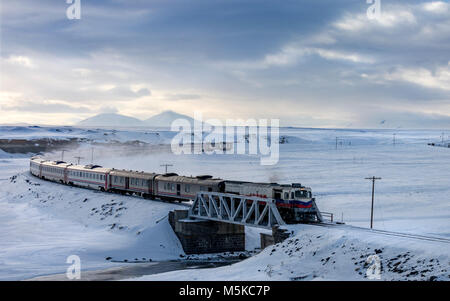 I giovani che accorrevano a Kars con la Eastern Express hanno consumato la loro 2 mese biglietti e il nuovo social media è stato Van Lago Express. Foto Stock