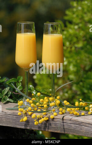 Due bicchieri di mimosa cocktail all'aperto contro il lussureggiante fogliame Foto Stock