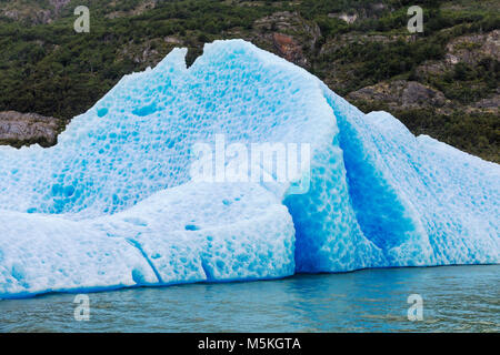 Iceburgs partorito da grigio Glaciar galleggiante nel Lago grigio; Parco Nazionale Torres del Paine; Patagonia; Cile Foto Stock