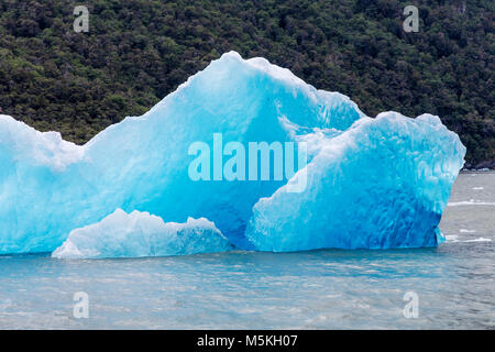 Iceburgs partorito da grigio Glaciar galleggiante nel Lago grigio; Parco Nazionale Torres del Paine; Patagonia; Cile Foto Stock