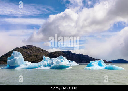 Iceburgs partorito da grigio Glaciar galleggiante nel Lago grigio; Parco Nazionale Torres del Paine; Patagonia; Cile Foto Stock