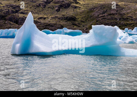 Iceburgs partorito da grigio Glaciar galleggiante nel Lago grigio; Parco Nazionale Torres del Paine; Patagonia; Cile Foto Stock