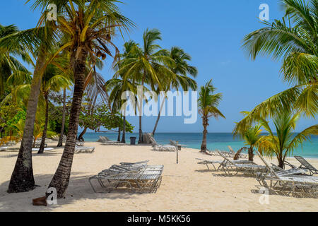 Spiaggia di sabbia bianca con lettini, molte palme, blu cielo e oceano turchese del mare dei Caraibi, Repubblica Dominicana Foto Stock