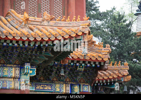 Il tempio Puning in Chengde (Cina). Foto Stock