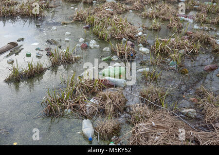 L'inquinamento dei corpi idrici. problema ecologico Foto Stock