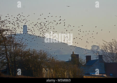 Glastonbury, Regno Unito, 24 feb 2018. Regno Unito Meteo. Sulla strada di Coxley starling volare oltre Glastonbury Tor in background,su un inverni freddi pomeriggio. Robert Timoney/Alamy/Live/News Foto Stock