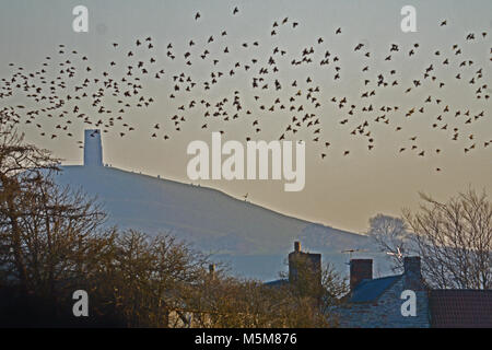 Glastonbury, Regno Unito, 24 feb 2018. Regno Unito Meteo. Sulla strada di Coxley starling volare oltre Glastonbury Tor in background,su un inverni freddi pomeriggio. Robert Timoney/Alamy/Live/News Foto Stock