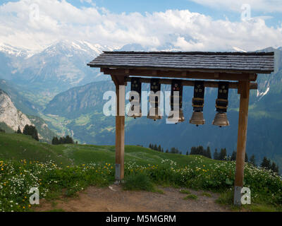 Schynige Platte vista montagne con campanacci Foto Stock