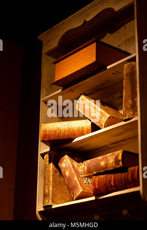 Vecchi libri su scaffali. Foto Stock