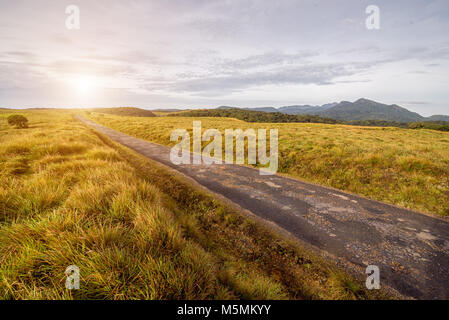 Horton Plains National Park, Sri Lanka Foto Stock