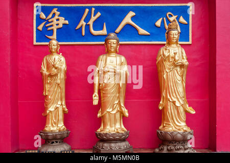 Golden Statue di Buddha lungo la scalinata per il Monastero dei Diecimila Buddha e paesaggio con alberi verdi in background in Hong Kong. Ho Foto Stock