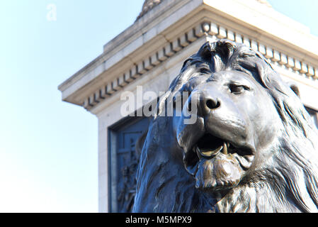 Statua in bronzo della colonna di Nelson, Trafalgar Square, Londra, Regno Unito Foto Stock