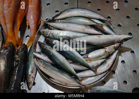 Mercado Municipal, Praia, isola di Santiago, Capo Verde Foto Stock