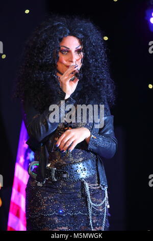 Tania alboni eseguendo i suoi Cher tributo atto durante la Ultimate Tribute Show a minatori Swillington Welfare Club a Leeds Foto Stock