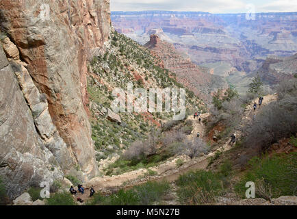 Grand Canyon Parco Nat Bright Angel Trail Coconino Arenaria . Gli escursionisti a vicino alla parte superiore della Coconino scogliere di arenaria in Bright Angel Trail nel Parco Nazionale del Grand Canyon. Questa posizione è a circa 1 miglio (1.6km) giù il sentiero dal sentiero, appena al di sotto del secondo tunnel. A questo punto sul sentiero, gli escursionisti a piedi sul bordo del Bright Angel guasto. Il sentiero è stato costruito su questa interruzione naturale in strati di roccia dove le rocce su un lato sono Foto Stock