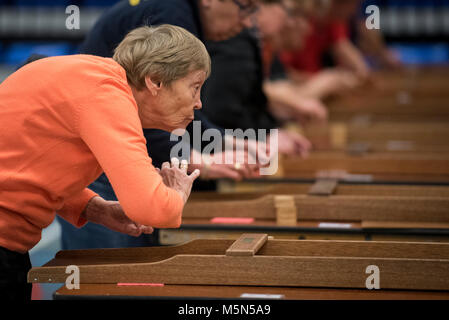 I Paesi Bassi. Barneveld. 15-04-2017. Campionato olandese shuffleboards Foto Stock