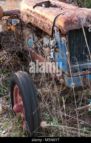 Un vecchio rottame distrutto il trattore in stato di abbandono in un campo di marciume lontano. Vintage attrezzature agricole in bisogno di restauro il motore del trattore. Foto Stock