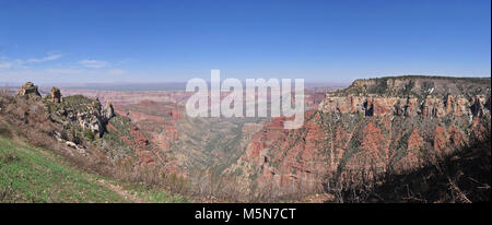 Parco Nazionale del Grand Canyon (NR) Roosevelt punto . Lungo il Cape Royal Road sul bordo Nord del Parco Nazionale del Grand Canyon è il luogo in cui il punto di Roosevelt sentiero inizia. Il sentiero un breve, appartata ansa boschiva ha vedute spettacolari. I banchi sono posizionati ad intervalli lungo il sentiero per il godimento rilassato del paesaggio. 0,2 mi. / 0,3 km round-trip; 20 minuti approssimativi round-trip. Questa vista è guardando verso est. Roosevelt Foto Stock