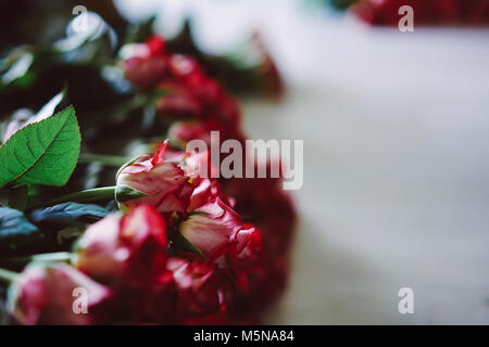 Fresh cut rose rosse giacciono sul tavolo Foto Stock