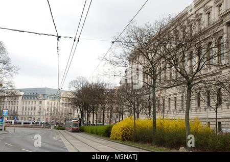 I tram in strada di Vienna, Austria. Foto Stock