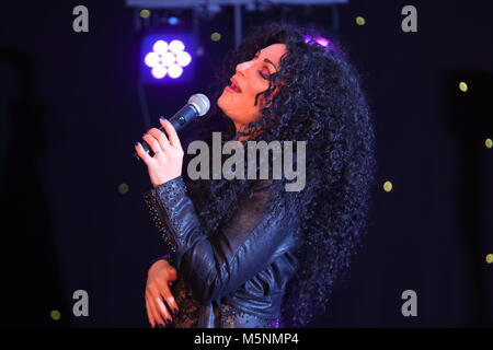 Tania alboni eseguendo i suoi Cher tributo atto durante la Ultimate Tribute Show a minatori Swillington Welfare Club a Leeds Foto Stock