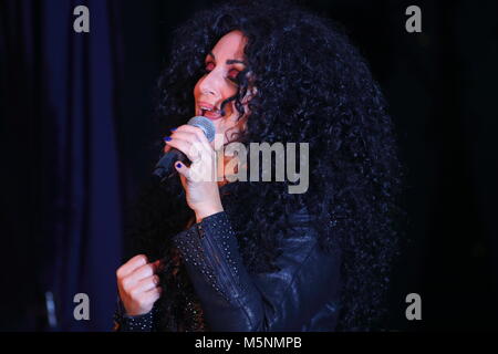 Tania alboni eseguendo i suoi Cher tributo atto durante la Ultimate Tribute Show a minatori Swillington Welfare Club a Leeds Foto Stock