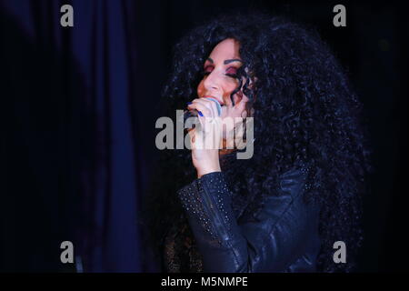 Tania alboni eseguendo i suoi Cher tributo atto durante la Ultimate Tribute Show a minatori Swillington Welfare Club a Leeds Foto Stock