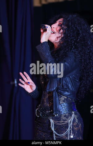 Tania alboni eseguendo i suoi Cher tributo atto durante la Ultimate Tribute Show a minatori Swillington Welfare Club a Leeds Foto Stock